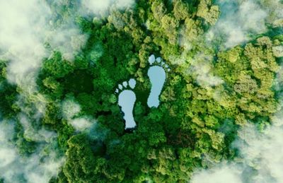 Most charities do not measure their carbon footprint, research finds