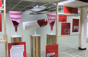 Vagina Museum display