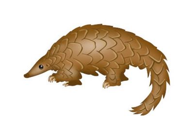 pangolin-emoji-white-bg-440.jpg