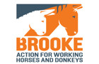 Brooke.jpg