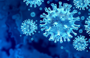 Coronavirus 440.jpeg