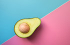 Avocado 440.jpg
