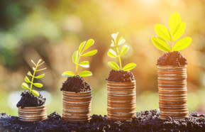 Social investment ethical responsible money plant 440.jpg