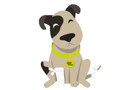  Birmingham Dogs Home campaign.jpg