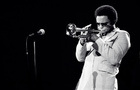 Jazz trumpet440.jpg