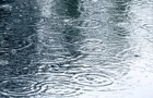 Rainy day 440.jpg