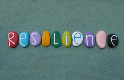 Economic Outlook: Building more resilient and diverse portfolios in 2026