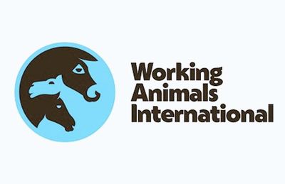 Animal welfare charity changes name after more than a century