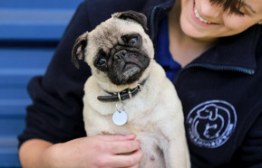 BDCH 440.jpg