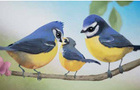 baby birds.jpg 1