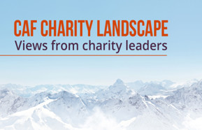 CAF 2019 charity landscape 440.jpg