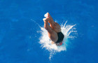 dive 440.jpg