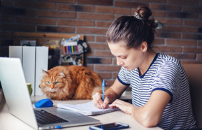 home working cat. 440.jpeg
