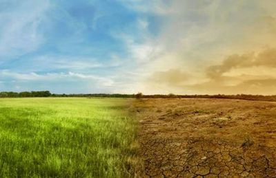 Sarah Mann: Charities must stop seeing climate change as a separate issue
