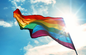 gay flag 440.jpg