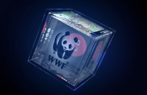 WWF NFTs 440.JPG