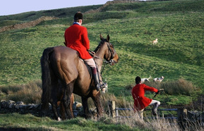 Fox Hunters 440.JPG