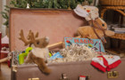 BHF_Christmas_Charity_Shop_Challenge_4 (1).jpg