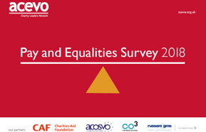 Acevo pay equality survey 2018 440.jpg