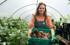 An edible garden