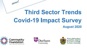 TS covid impact report aug 2020 440.jpg