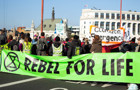 Extinction Rebellion.jpg