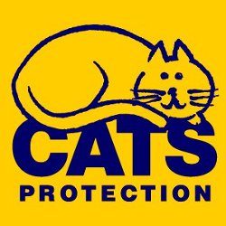 Cats shop protection voucher