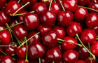 Pick of the bunch cherries 440.jpg