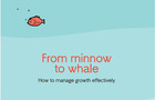 from minnow to whale correct.jpg