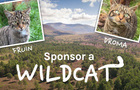 Sponsor a Wildcat 440.jpg