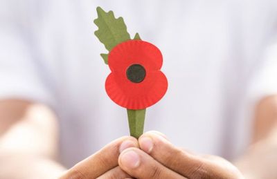 Royal British Legion faces increased costs after plastic-free poppy switch