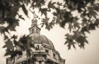 law-supreme-court-440.jpg
