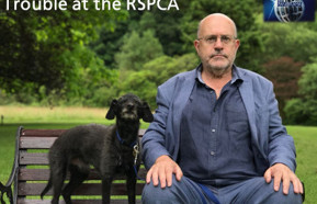 BBC Panorama RSPCA 440.jpg