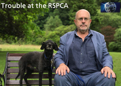 BBC Panorama to air a programme about RSPCA