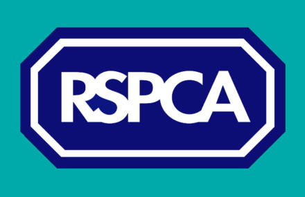 RSPCA logo 810 2.jpg1