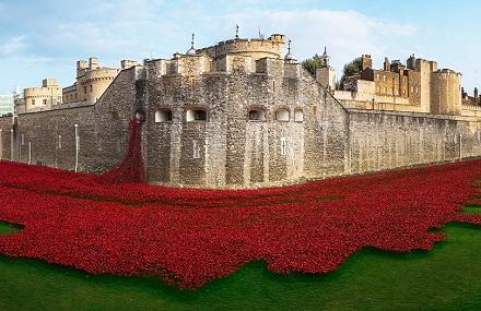 Tower of London poppies 440.jpg