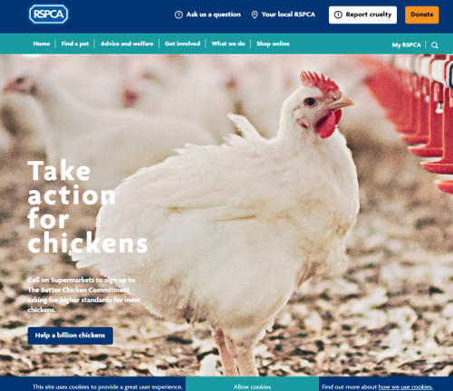 RSPCA web 2019.jpg