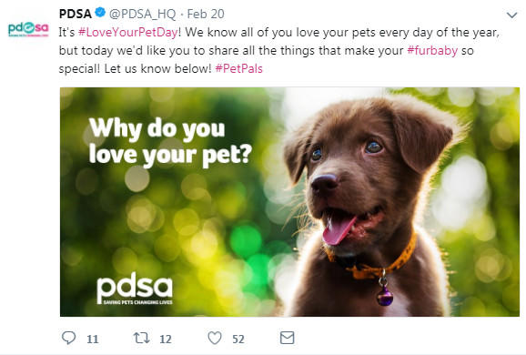 pdsa dogs.jpg