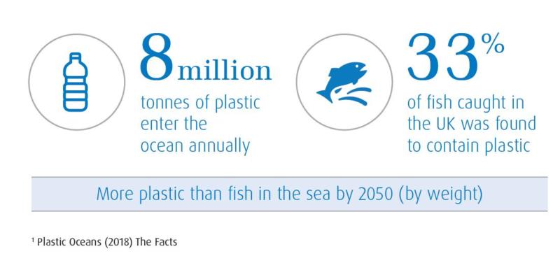 Plastic oceans The Facts (BMO).JPG