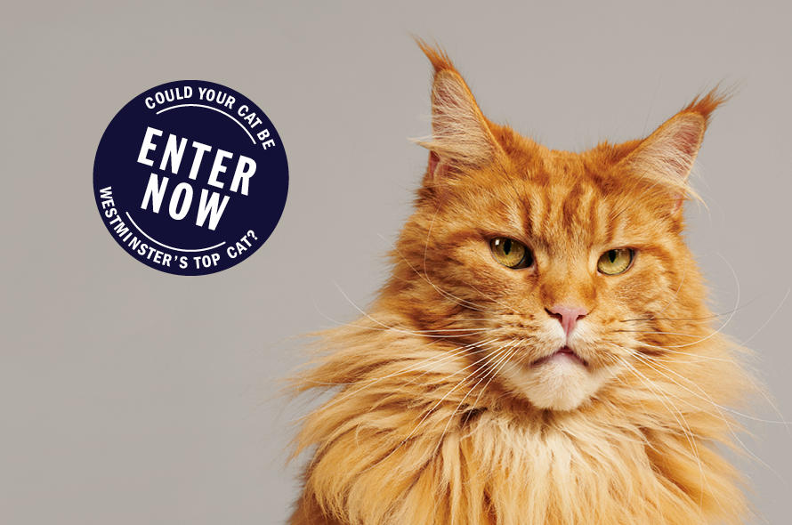 PURR MINISTER 2018.jpg