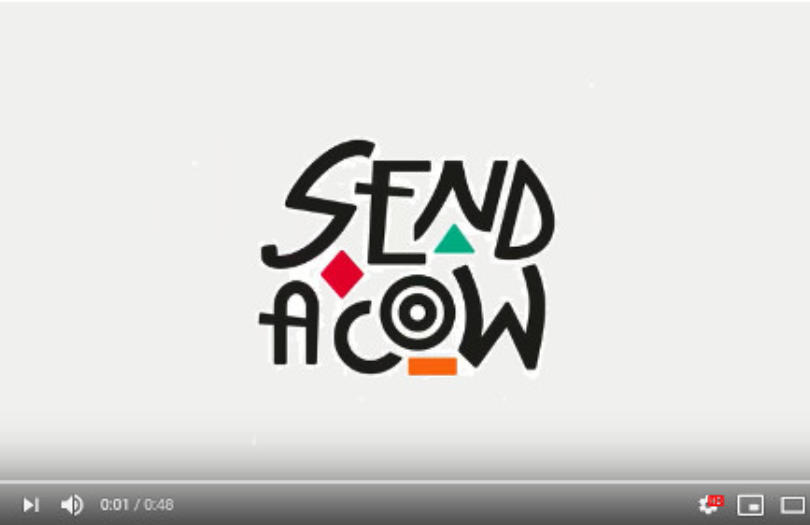 Send a Cow - What we do