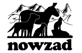 Nowzad USE THIS ONE.jpg
