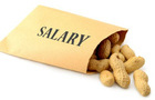 Paying peanuts _ Rob hyronsadobe stock.jpg
