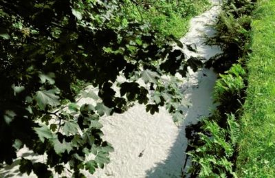 Minerals firm pays £430,000 to rivers charity after clay pollution incidents