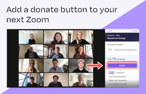 Zoom pledge button.jpg