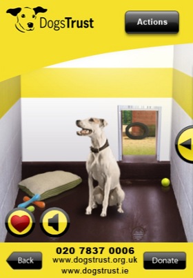 dogs_trust_280.JPG