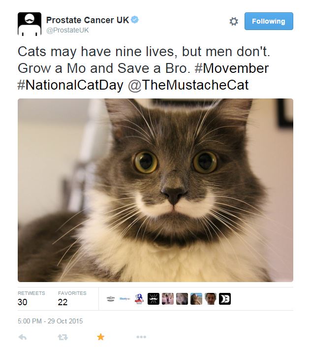 prostate_cancer_cat_day.JPG