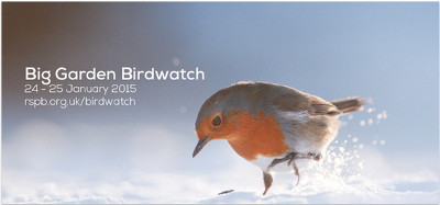 rspb_bird_watch.jpg