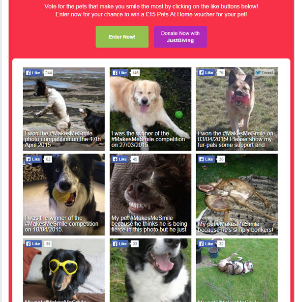 pets_new.jpg