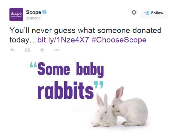 bunny_click_bait_600.jpg